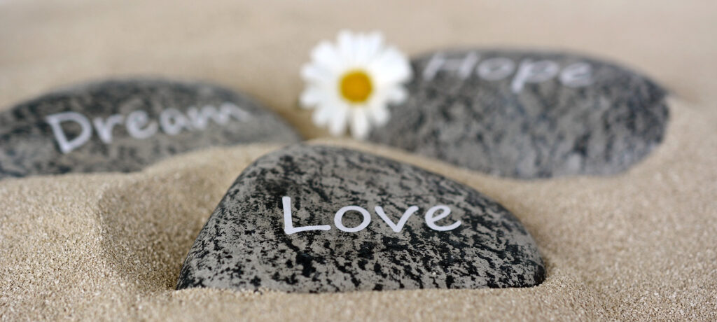 A Family Perspective on Mental Illness 9 a group of rocks with words written on them