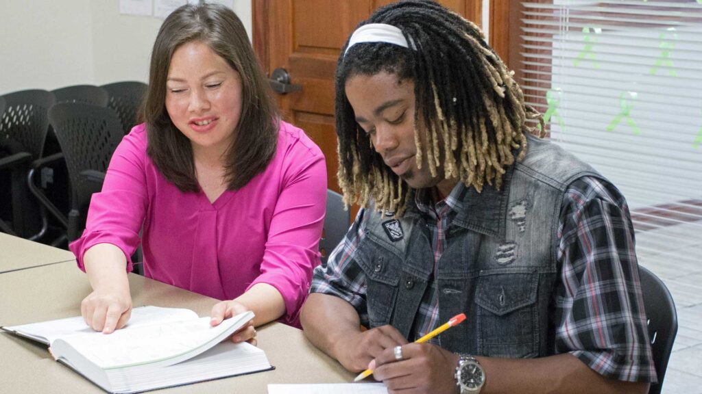 history SEES education