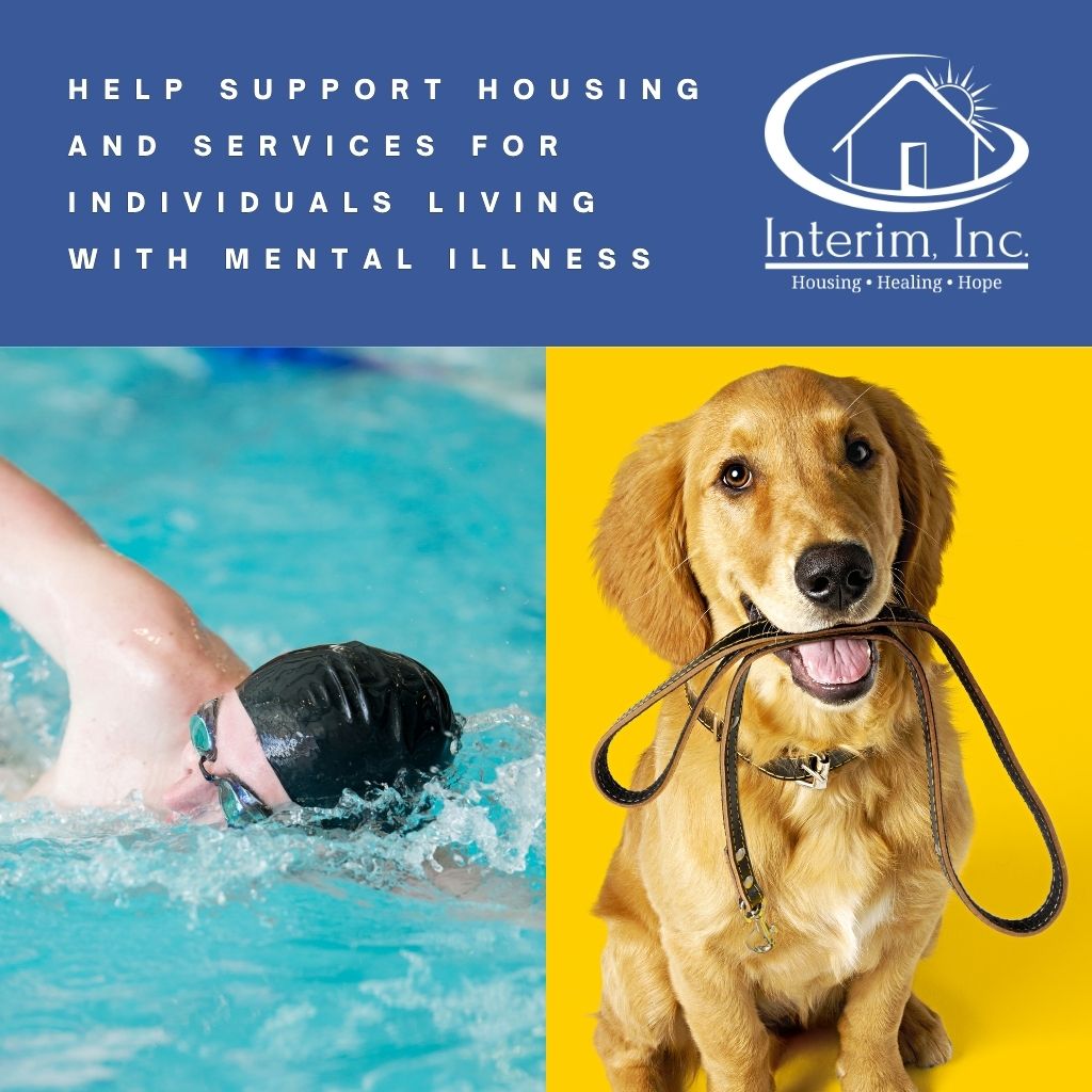 a dog and a person in a pool