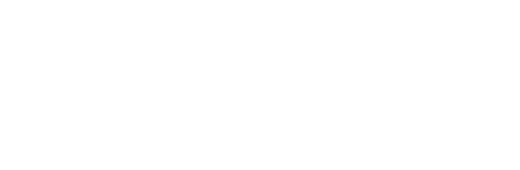 BayFedLogowhite 750